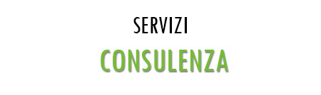 consulenza